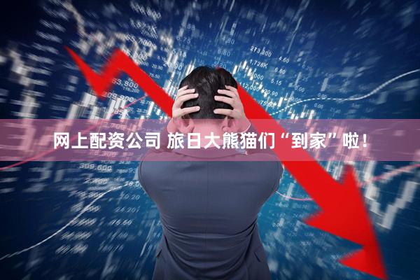 网上配资公司 旅日大熊猫们“到家”啦！